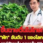 อันดับ 1 ของโลก! “ผักพื้นบ้าน” ขึ้นดาษดื่นในไทย คว้าแชมป์ “ต้านมะเร็ง” คะแนนเต็ม 100