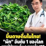 อันดับ 1 ของโลก! “ผักพื้นบ้าน” ขึ้นดาษดื่นในไทย คว้าแชมป์ “ต้านมะเ.ร็.ง” คะแนนเต็ม 100